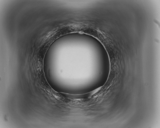 X0000098021253200803281327