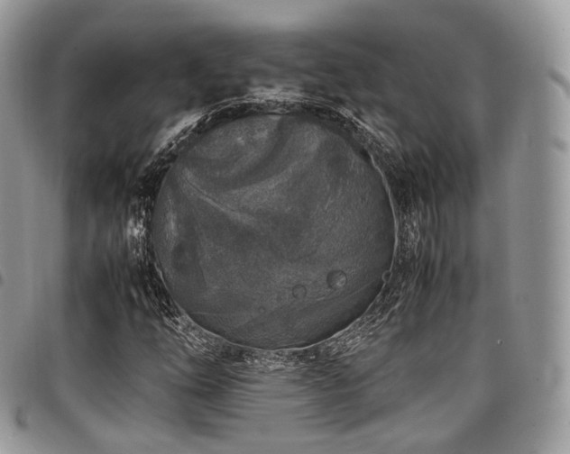 X0000098021254200803281327