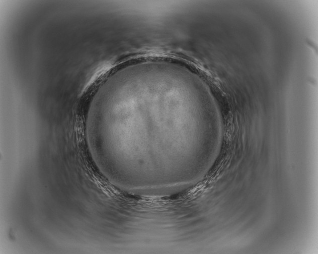 X0000098021255200803281327