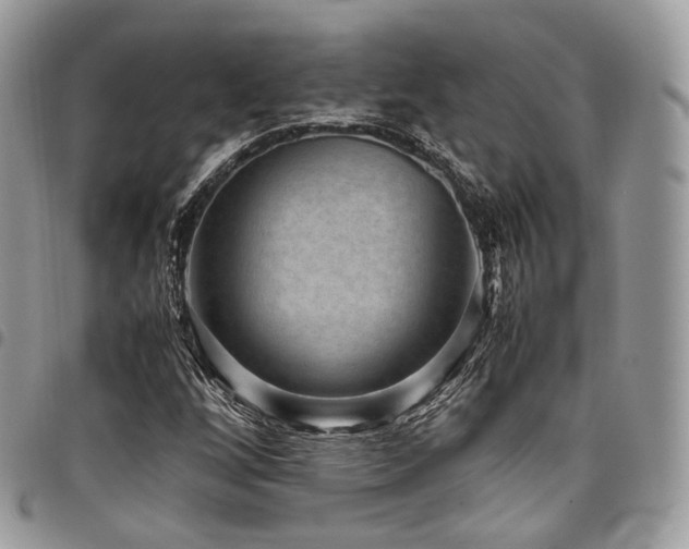 X0000098021256200803281327