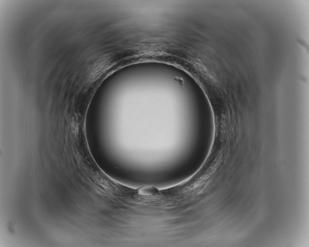 X0000098021257200803281327