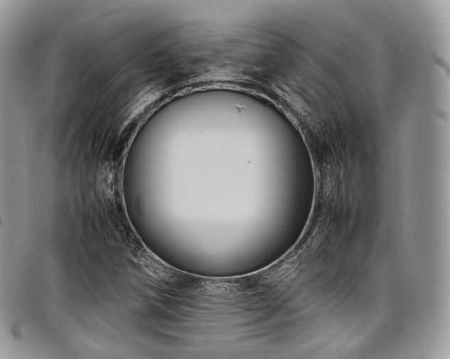 X0000098021258200803281327