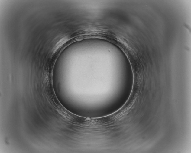 X0000098021259200803281327