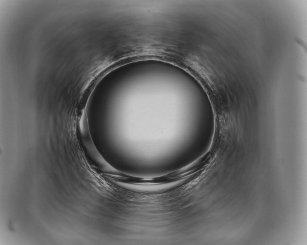 X0000098021260200803281326