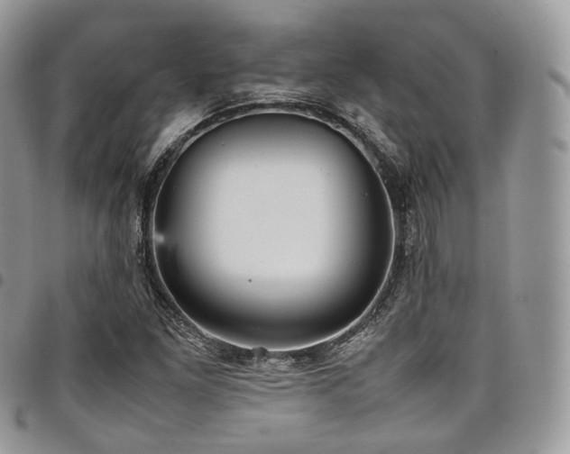 X0000098021261200803281326