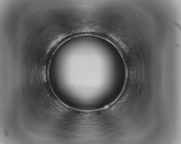 X0000098021262200803281326