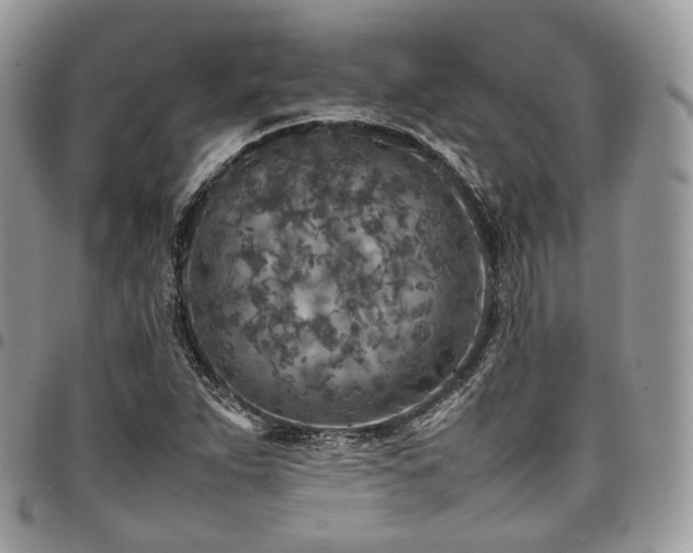 X0000098021263200803281326