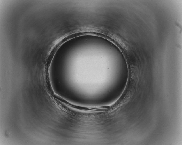 X0000098021264200803281326