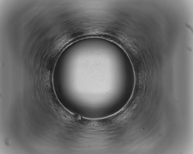 X0000098021265200803281326