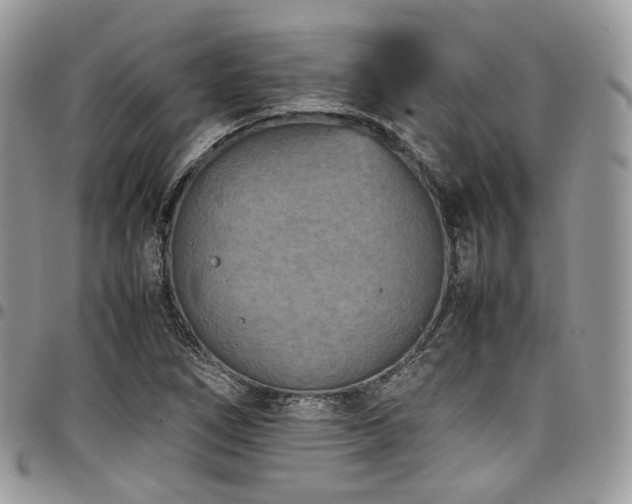 X0000098021266200803281326