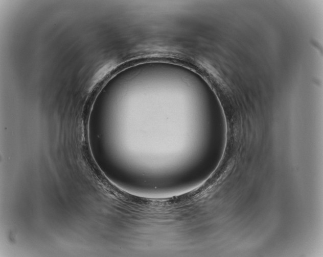 X0000098021267200803281326