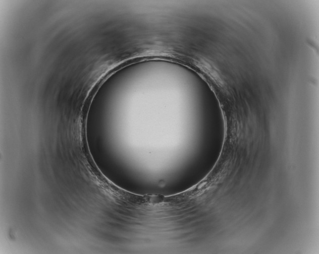 X0000098021268200803281326