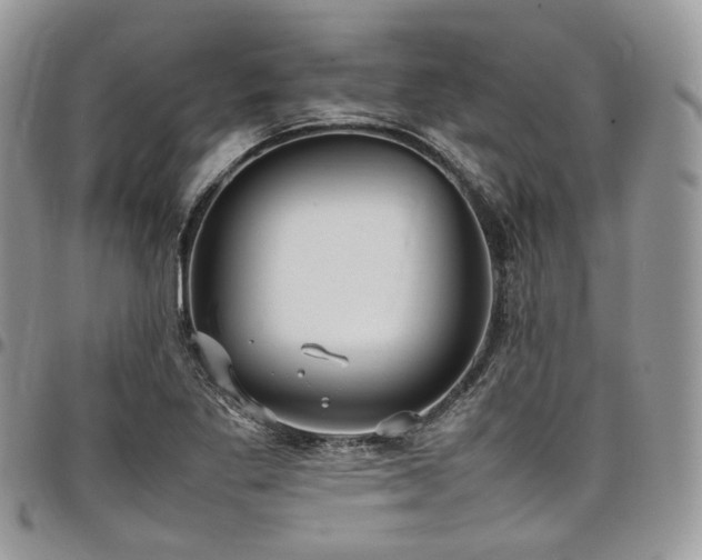 X0000098021269200803281326