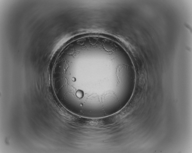 X0000098021271200803281326