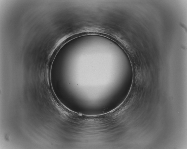 X0000098021272200803281326