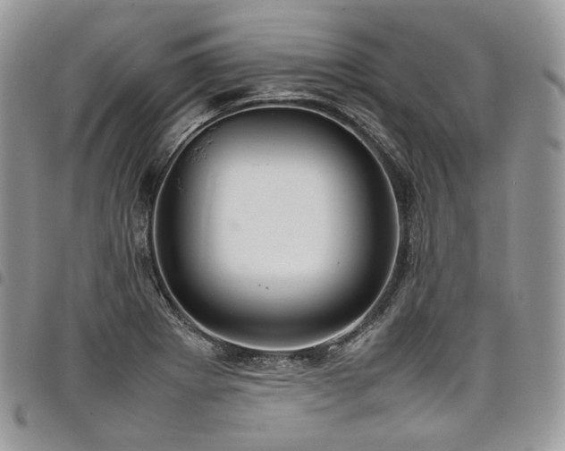 X0000098021273200803281326