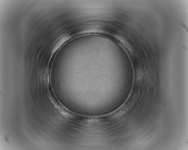 X0000098021274200803281326