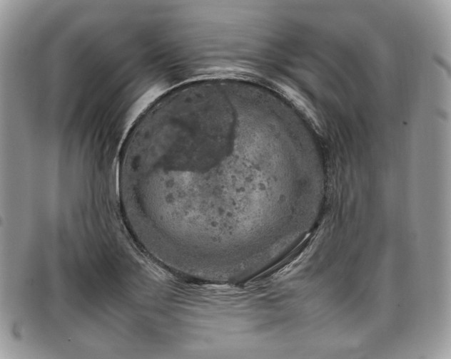 X0000098021275200803281326