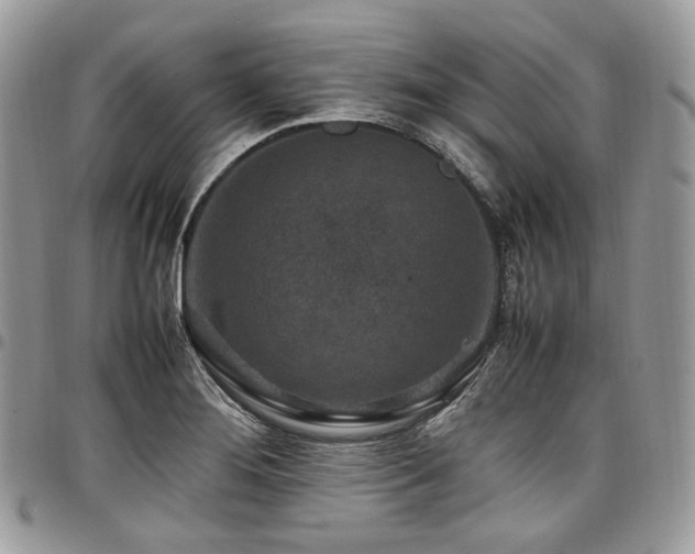 X0000098021276200803281326