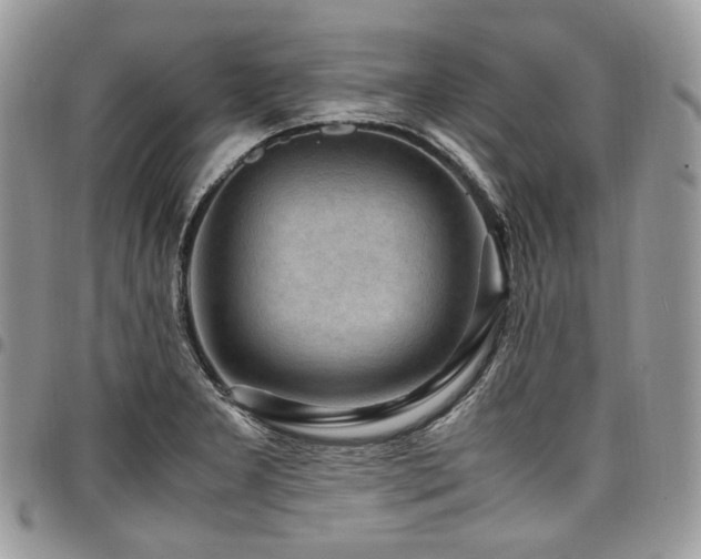 X0000098021277200803281326