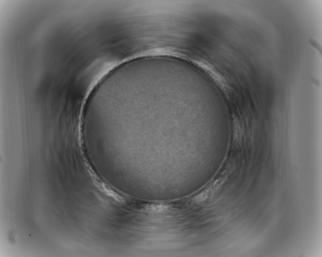 X0000098021278200803281326