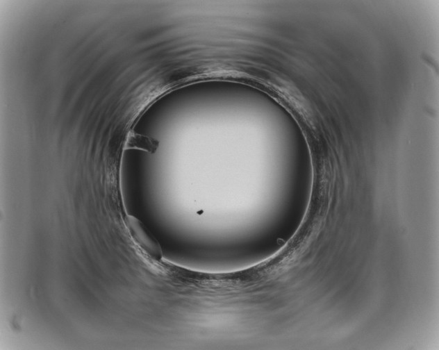 X0000098021281200803281326