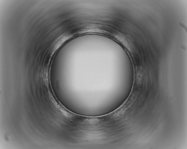 X0000098021282200803281326