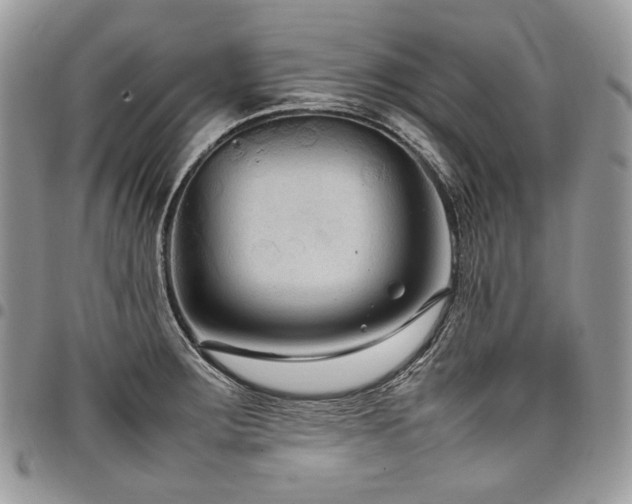 X0000098021283200803281326