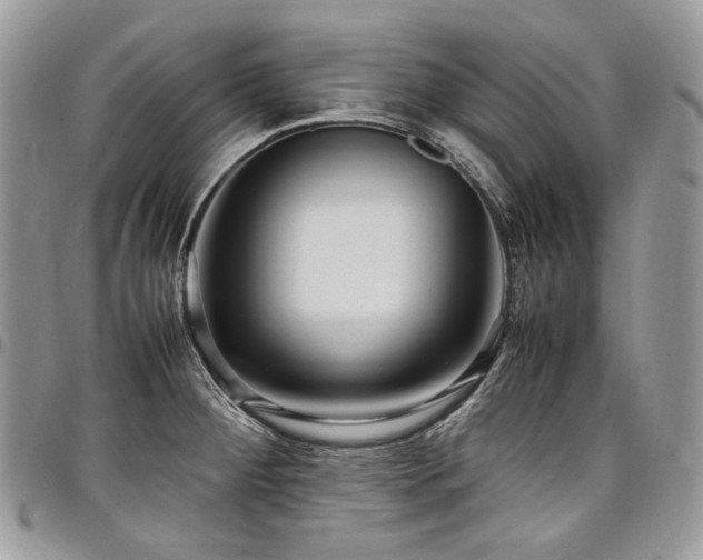 X0000098021284200803281326