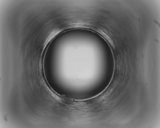 X0000098021285200803281326