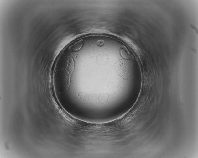 X0000098021287200803281326