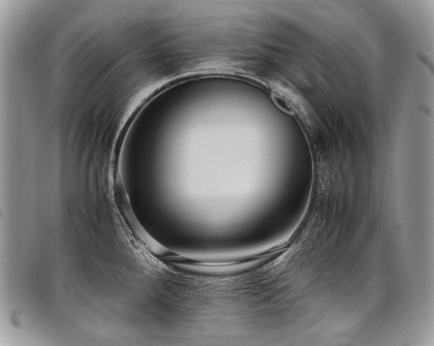 X0000098021288200803281326