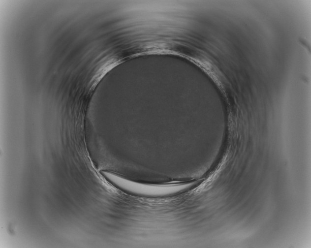 X0000098021289200803281326