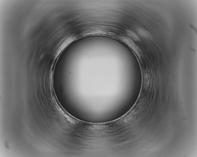 X0000098021290200803281326