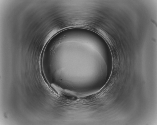 X0000098021291200803281326