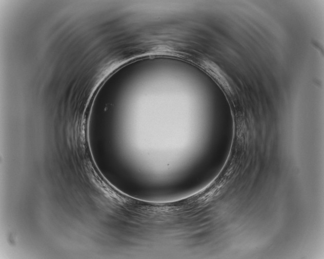 X0000098021292200803281326