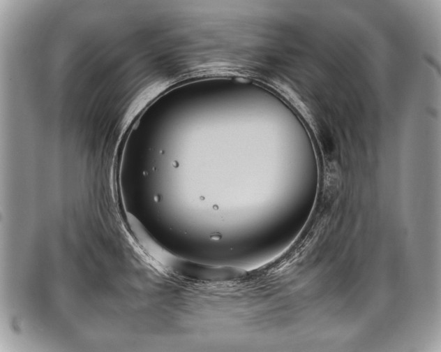 X0000098021293200803281326