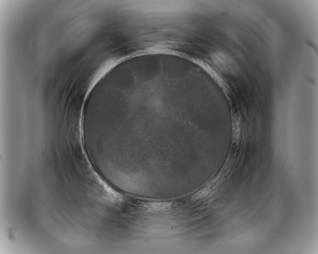 X0000098021294200803281326