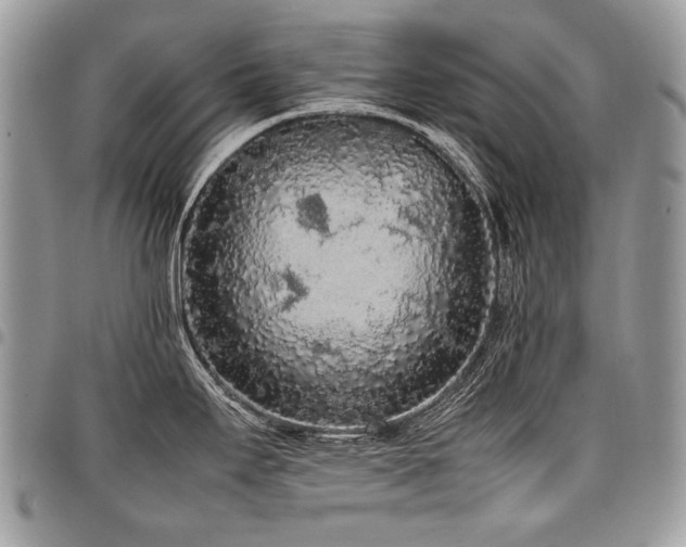 X0000098021295200803281326