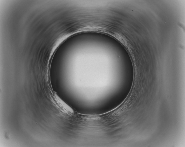 X0000098021296200803281326