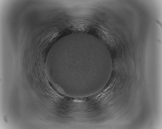 X0000098021297200803281325