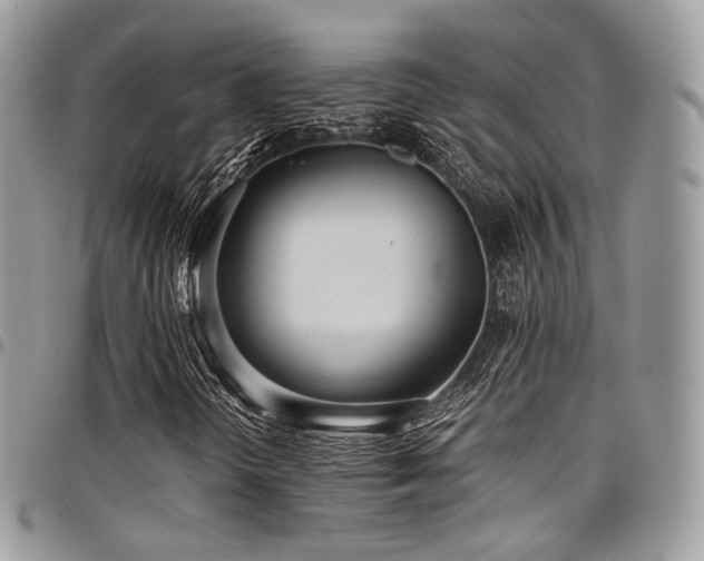 X0000098021298200803281325