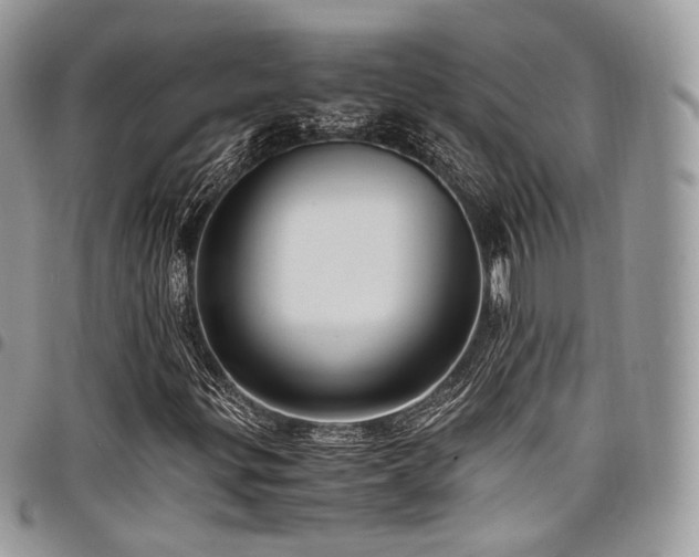 X0000098021299200803281325