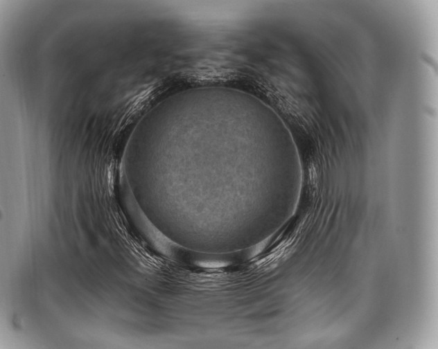 X0000098021300200803281325