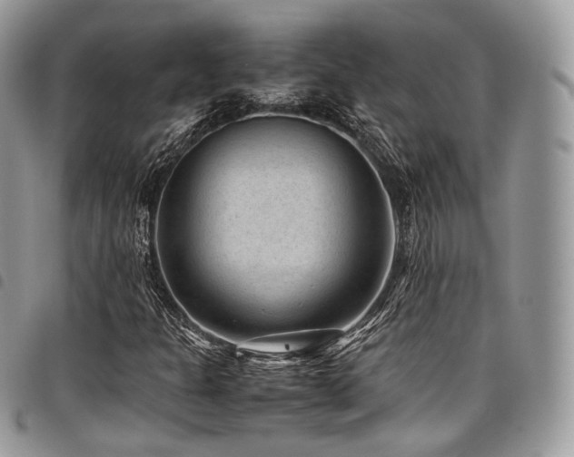 X0000098021301200803281325