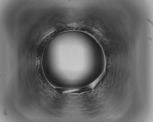 X0000098021302200803281325