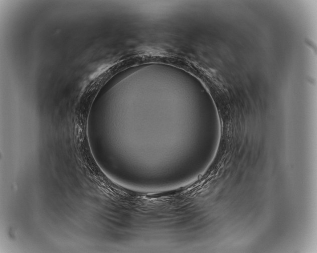 X0000098021303200803281325