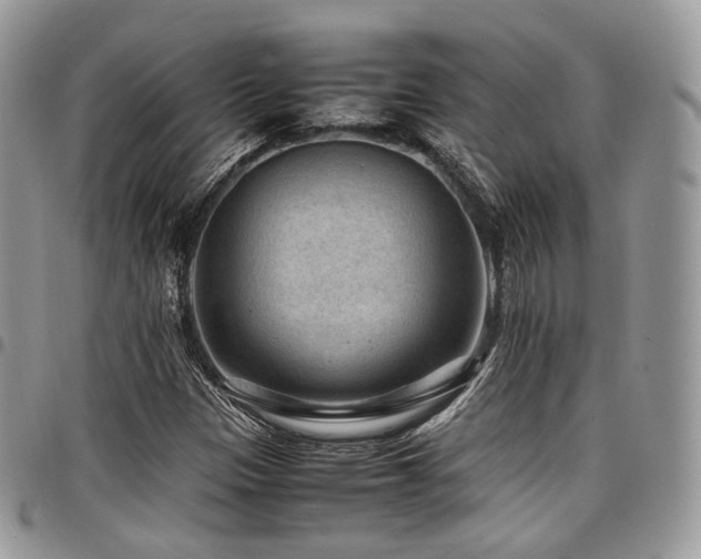 X0000098021305200803281325