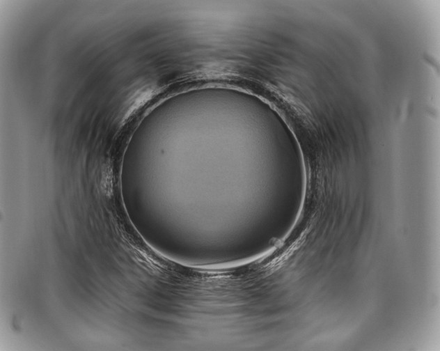 X0000098021306200803281325