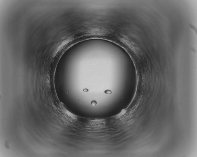 X0000098021307200803281325